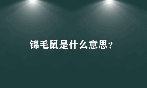 锦毛鼠是什么意思？