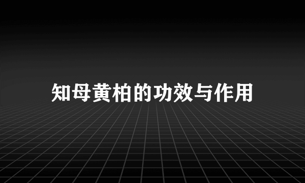 知母黄柏的功效与作用