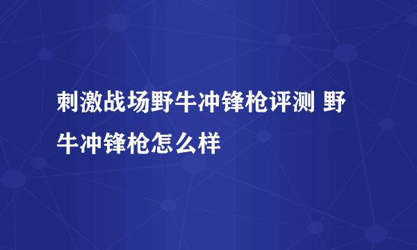 刺激战场野牛冲锋枪评测 野牛冲锋枪怎么样