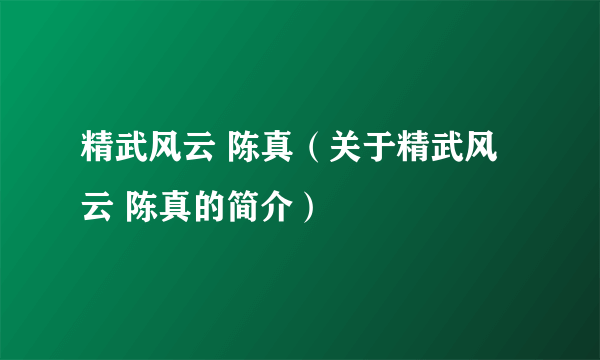 精武风云 陈真（关于精武风云 陈真的简介）