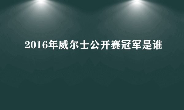2016年威尔士公开赛冠军是谁