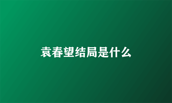 袁春望结局是什么