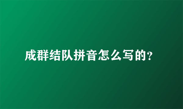 成群结队拼音怎么写的？