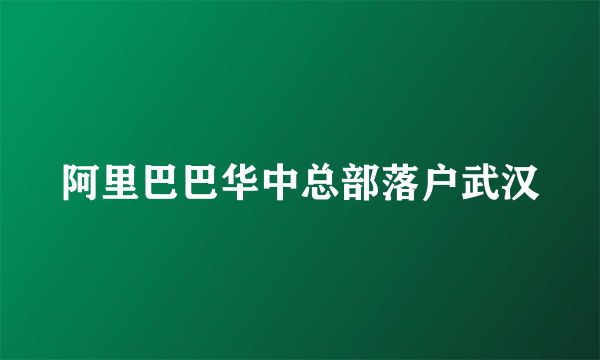 阿里巴巴华中总部落户武汉