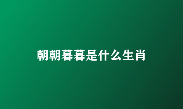 朝朝暮暮是什么生肖