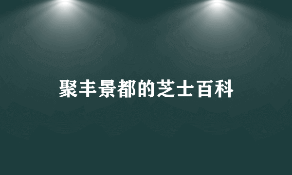 聚丰景都的芝士百科