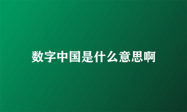数字中国是什么意思啊