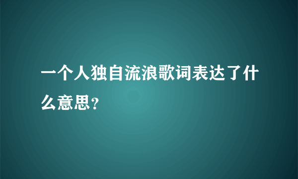 一个人独自流浪歌词表达了什么意思？
