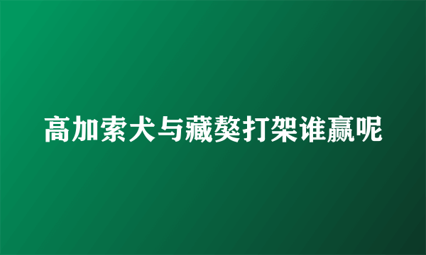 高加索犬与藏獒打架谁赢呢