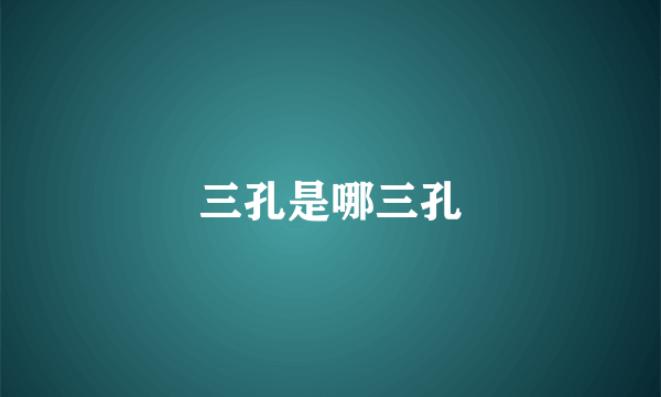 三孔是哪三孔