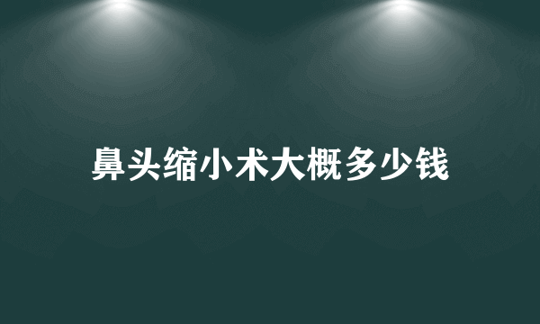 鼻头缩小术大概多少钱