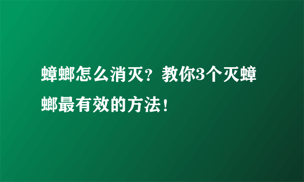 蟑螂怎么消灭？教你3个灭蟑螂最有效的方法！
