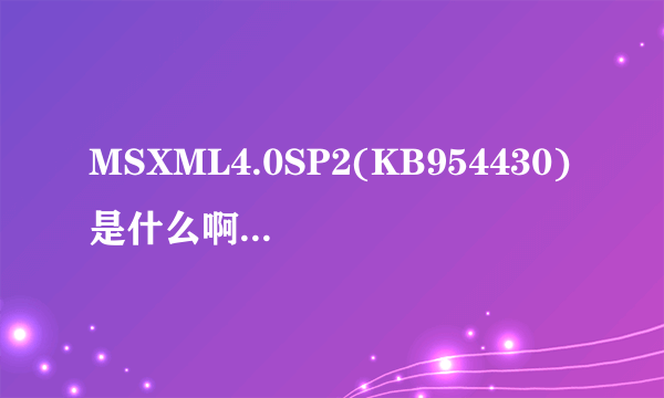 MSXML4.0SP2(KB954430)是什么啊 谁知道啊麻烦给解释一下