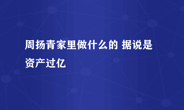 周扬青家里做什么的 据说是资产过亿