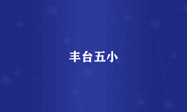 丰台五小