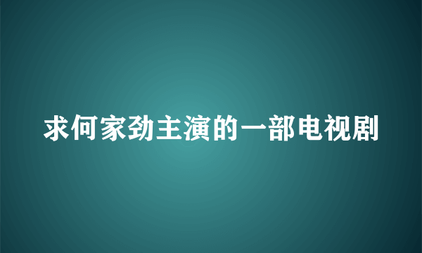 求何家劲主演的一部电视剧