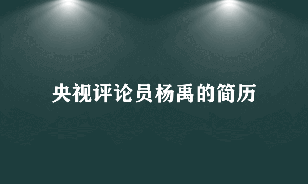 央视评论员杨禹的简历