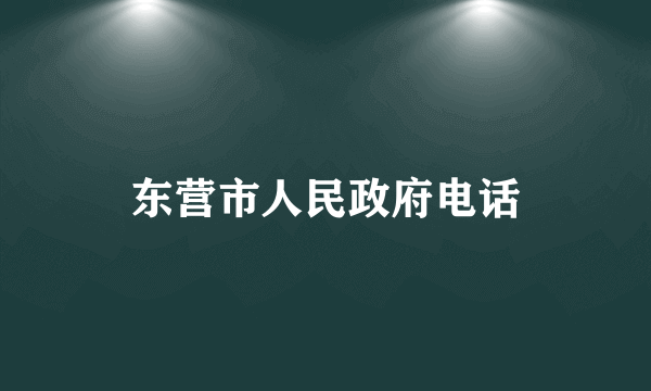 东营市人民政府电话