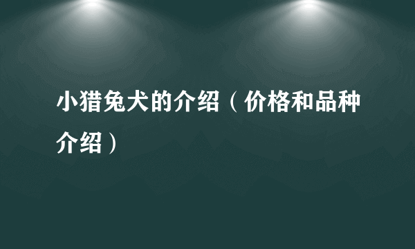 小猎兔犬的介绍（价格和品种介绍）