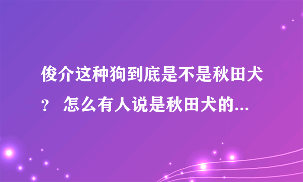 俊介这种狗到底是不是秋田犬？ 怎么有人说是秋田犬的幼犬。 我怎么看不像~