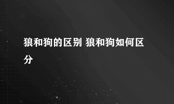 狼和狗的区别 狼和狗如何区分