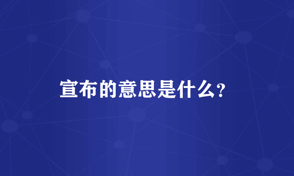 宣布的意思是什么？