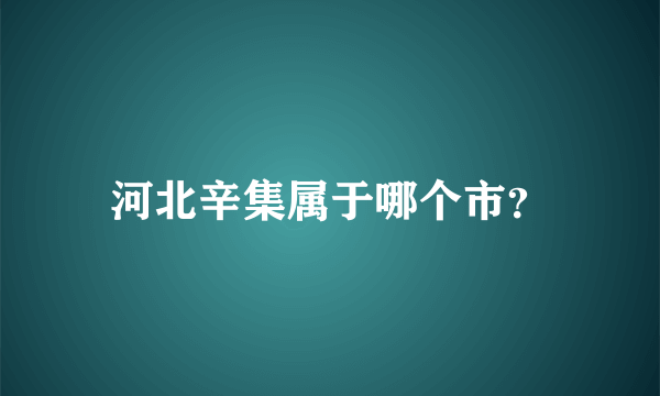河北辛集属于哪个市？