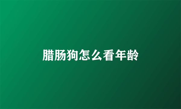 腊肠狗怎么看年龄