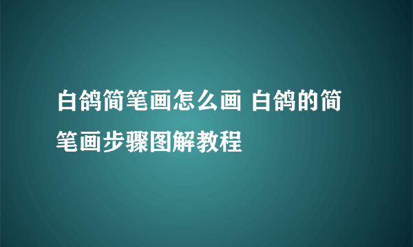 白鸽简笔画怎么画 白鸽的简笔画步骤图解教程