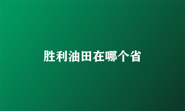 胜利油田在哪个省