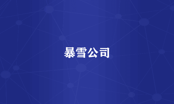 暴雪公司