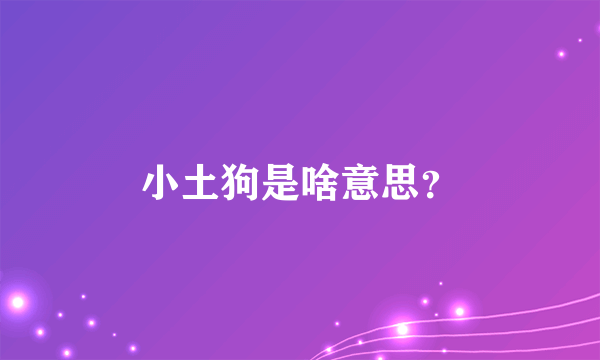 小土狗是啥意思？